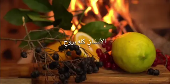 يبقى الموقف #اكسبلورexplore #الشيخ_احمد_الوائلي 