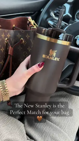 Perfect Match 💫🤎 @Stanley Europe @Stanley Brand @Louis Vuitton @bmw #stanley #StanleyCup #new #espresso #brown #gold #chocolategold #chocolate #louis #louisvuitton #louisvuittonbag #louisvuittonlover #fyp #trend #2025 #viral #bmw