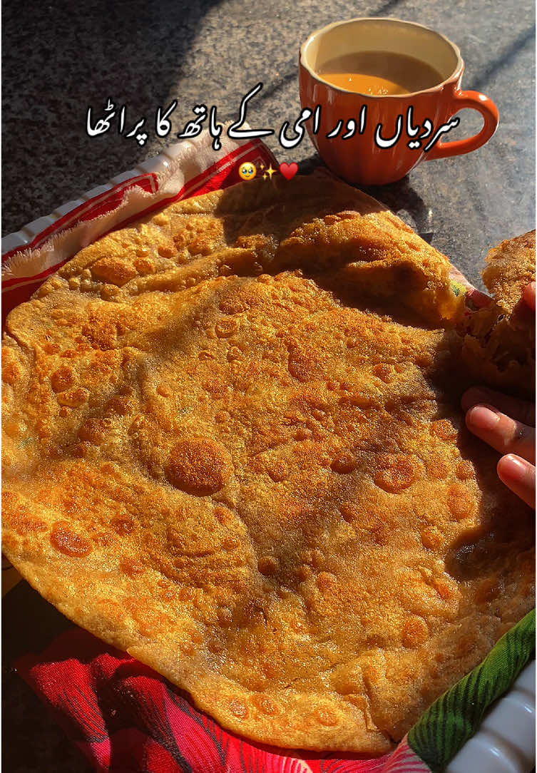 Ammi k hath ka paratha♥️ #f #fy #fyp #fyppp #foru #foruyou #foryoupage❤️❤️ #relatable 