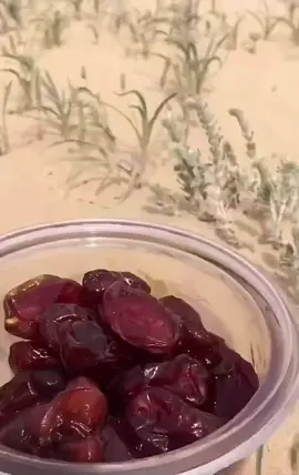 #العزبه🐪🌿 #قرية #اكسبلور 