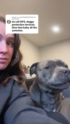 Replying to @user9500393218013 mom in trouble #staf #staffy #staffordshirebullterrier #fypp #fypシ゚viral #staffypuppy #puppytiktok #funnyvideo 