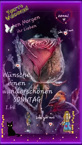 #CapCut #gutenmorgen #wünscheeuchallen #einenschönensonntag #❤️🌹❤️ #foryou #fyp 