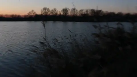 Why are u crying….?                               ——— #fpy #fyp #videography #nature #meow #whyareyoucryinglain #whyareyoucrying #silent 