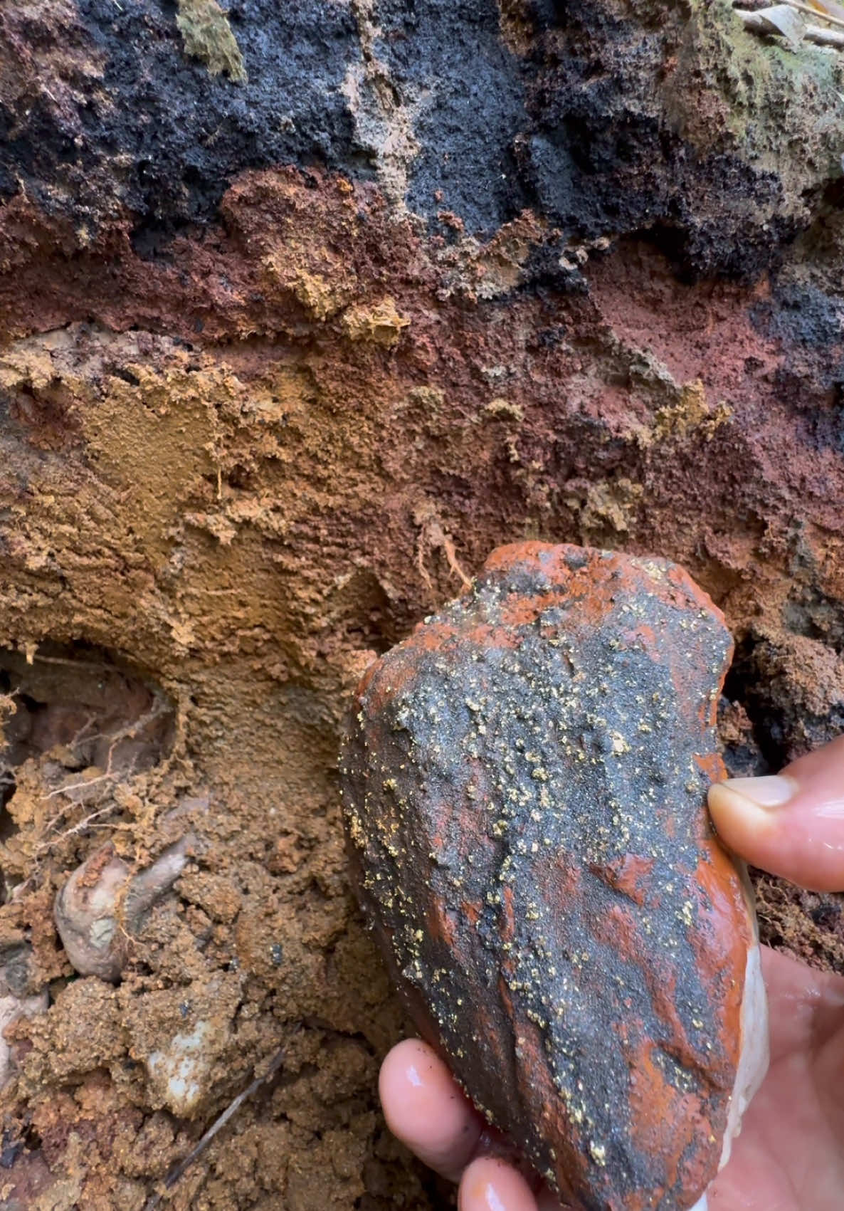 White quartz stone covered in pure gold!!! extraordinary shock to the world of mining😱😱😱 #fyp #fypシ #fypシ゚viral #fypage #goldtreasure 