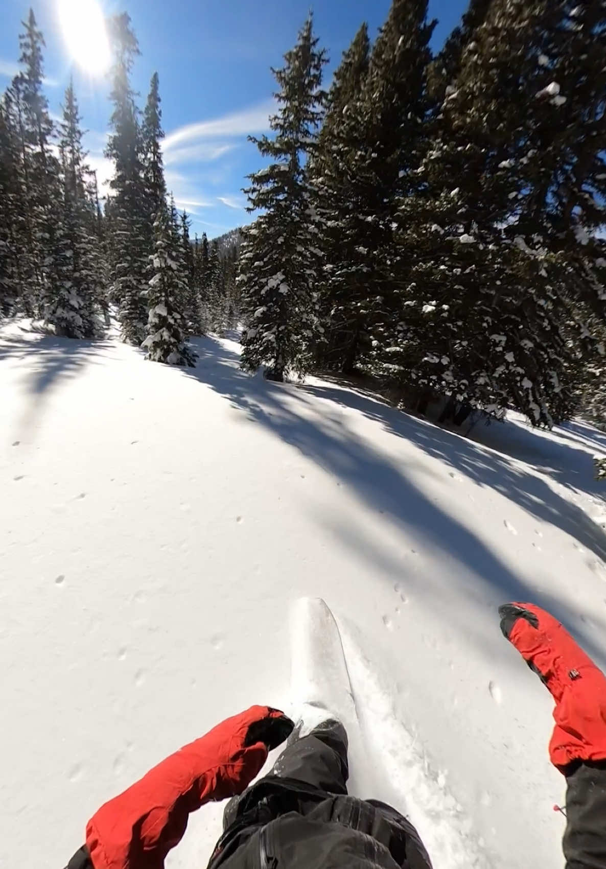 Tree wells fear me 🌲 #snowboarding #snowboardinglife #skiiing #skiinglife #skiseason #snowstorm #powder #co #colorado #gopro #backcountryskiing #backcountrysnowboarding #splitboarding #treewell 