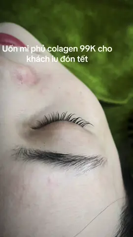 Uốn mi phủ colagen 99K cho khách iu đón tết  #uonmi  #uonmisieucong 