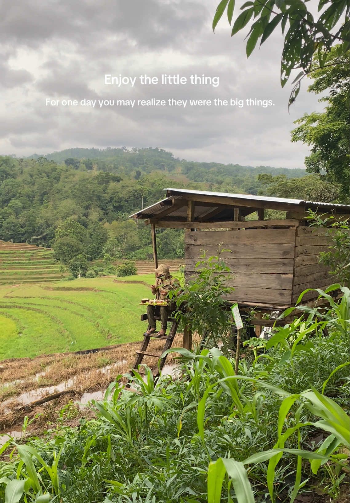 Enjoy the little things For one day you may realize they were the big things  #nature #campingfood #naturelover #sulawesiselatan #indonesia #asmr #fyp  #quotes 