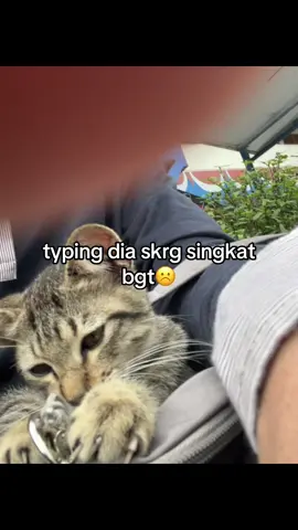 #xyzabc #fypシ #galaubrutal 