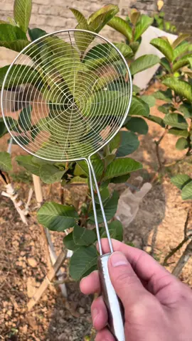 Vợt muỗng inox, bộ lộc dầu chiên đồ ăn nhẹ thực phẩm,ED, muôi thủng bằng thép không gỉ, lưới chiên, muôi thủng, ráo dầu, muôi thủng nhà bếp #votinox #muoithunginox #muoithung #luoichieninox #giadungtienloi #giadungnhabep #giadungtienich #giadungthongminh  