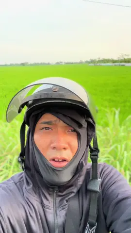 Có hà mã không fen #giảitritiktok 