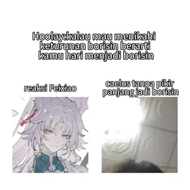 borisin adalah aku dan aku adalah borisin🐺AUUUUUU#HonkaiStarRail #hoyoverse #feixiao #foryoupage #ryukirein 