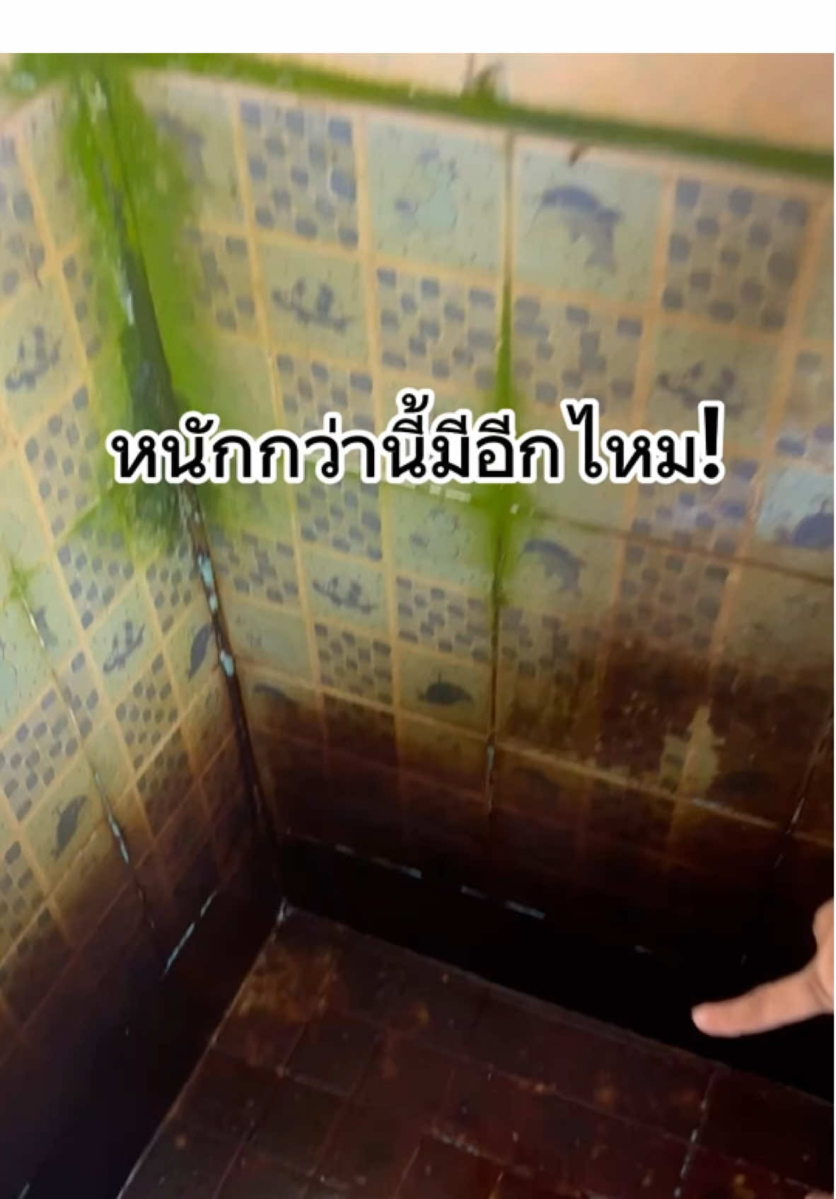 คราบหนักฝังลึกเป็นสิบปี เจอสิ่งนี้คือดีงามสุดดดด  👏  #เลี้ยงลูกสนุกดีBYแม่กรีน #logeski  #น้ำยาล้างห้องน้ำ 