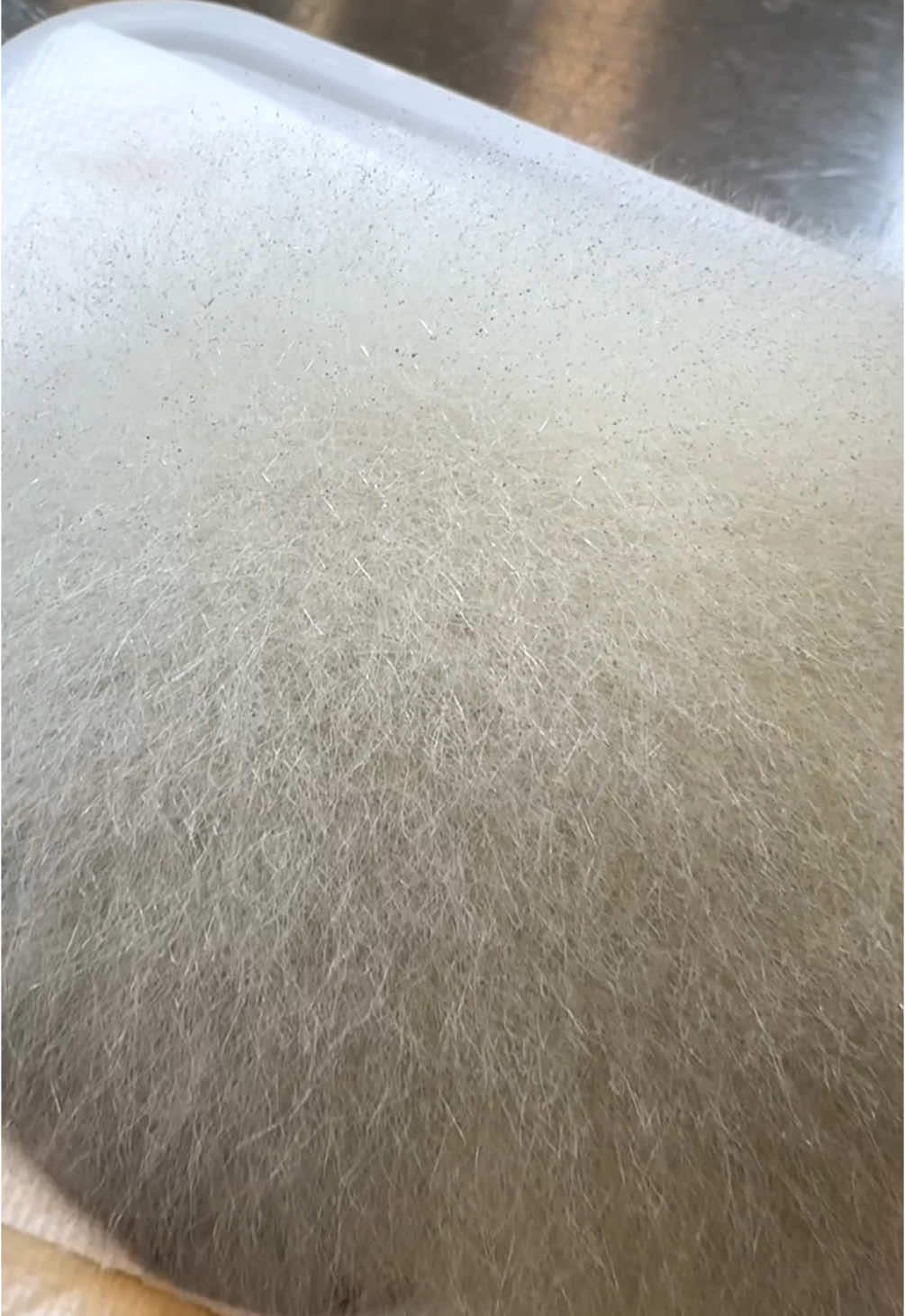 deer sandwich.1 month mold aged deer liver.鹿サンド。1ヶ月熟成鹿レバー。