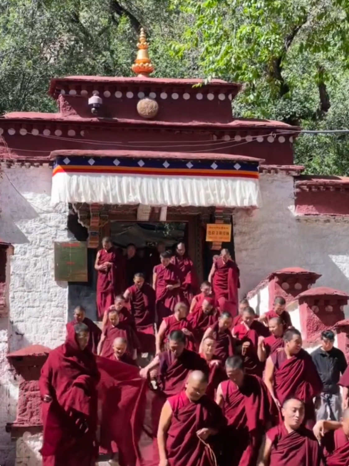 Even the animals here understand. Sometimes, it’s the simplest things that connect us to a deeper spirit. In this land of tranquility, we all find a little peace with ourselves. #tibet #tibetanbuddhism #buddism #innerpeace #meditation #buddhaquotes #tibetanculture #monk #fyp 