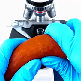 ayoko na kumain ng hotdog, kadiri. #microscope #fyp #lyrics #music #relapse #foryou #viral 