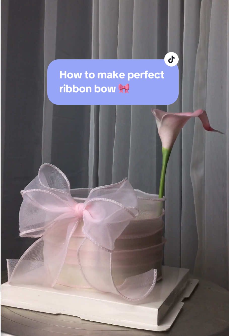 Cake pita super lucu!!! Kalian para bakers harus lihat gimana caranya bikin pita yg rapi buat bow cake 🤩  #cake #cakedecorating #cakedecoration #bow #howtomake #bowcake #cakeoftiktok #bakers #cakeinspiration #cakeinspo #cakeinspiration #cakesoftiktok 