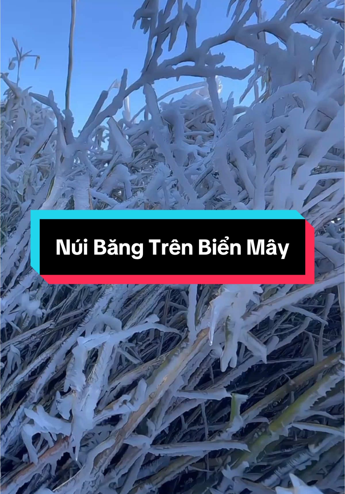Đúng là k có từ nào diễn tả được vẻ đẹp này. .!!! Núi băng giá trên biển mây#thodiasapa #sapa #dulich #linhle #thoitietsapa 