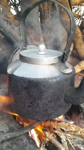 #shaahkaris 🫖😂😂😂🫶