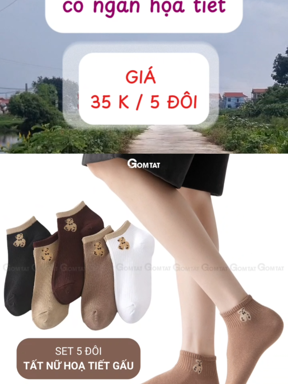 Set 5 đôi tất nữ cổ ngắn họa tiết #xuhuong #thoitrangnu #thờitrangnữ #tất #vớ #tatnu #vonu #tatngan #tatngannu 