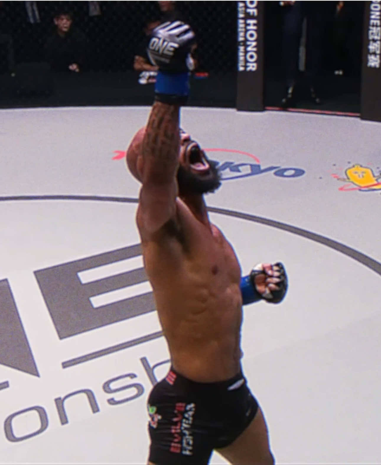 The Art Of Demetrious Johnson @Demetrious Johnson #demetriousjohnson #mightymouse #djmma #UFC #onefc #mma #goat #fyp #knockout #flyingarmbar #armbar 