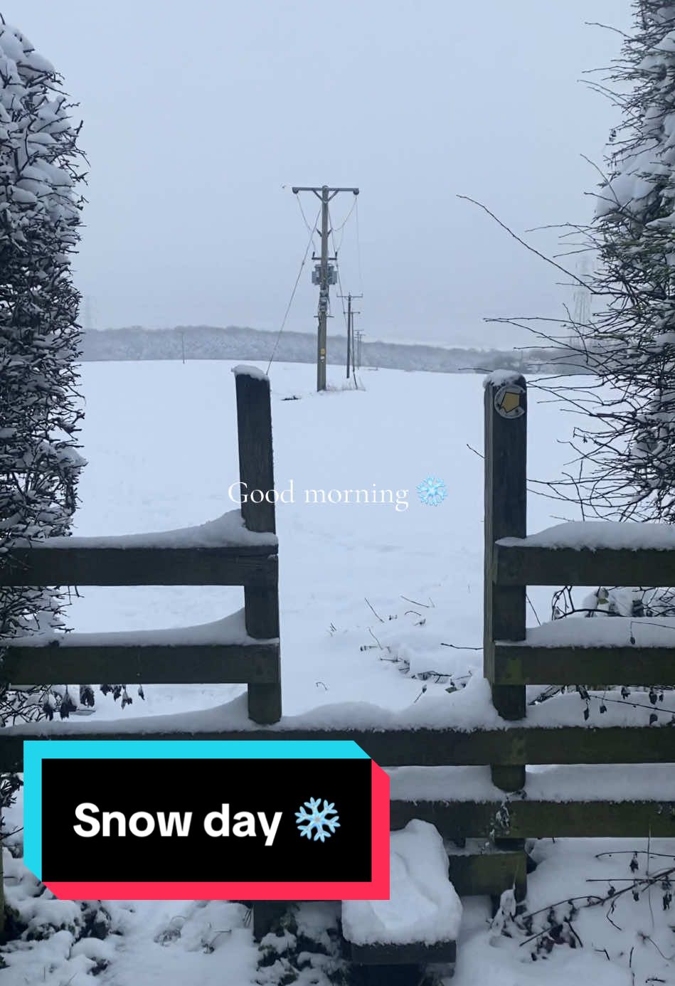 Yorkshire snow day 🌨️❄️ #snow #snowday #weather #yorkshire #england #january #newyear #2025 #goodmorning #sunday #morningvibes 