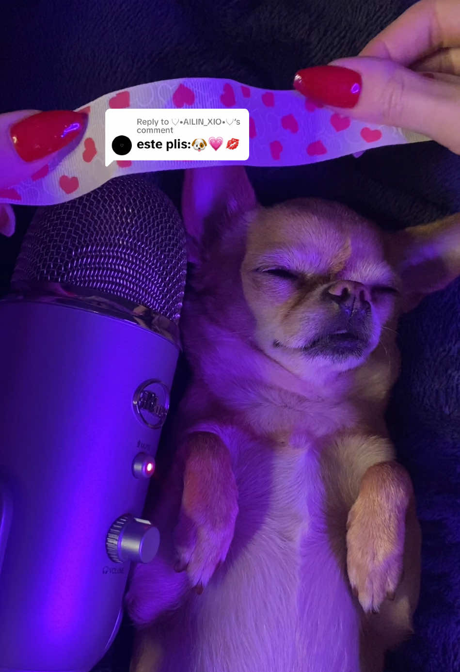 Replying to @♡•AILIN_XIO•♡ #sleep #dream #animalsoftiktok #fpyシ #sleepyday