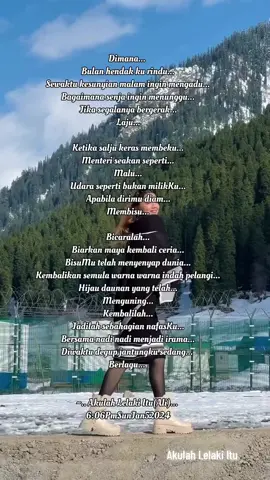 Puisicinta#