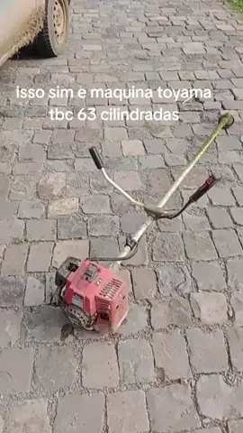 #tiktok #bertottiademir #jardinagem 