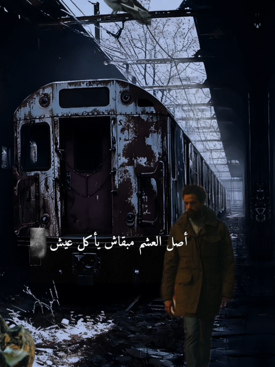 إسمع 👌 #محمد_سلطان #خدت_من_جدعتني_ايه#اللي_عارف_ايه_بيضايقني