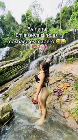 Aysh no🤦🏻‍♀️😅#viral_video #pucallpaperú🌴🦜🐍🐢🦥 #viralllllll #fpy #selva 