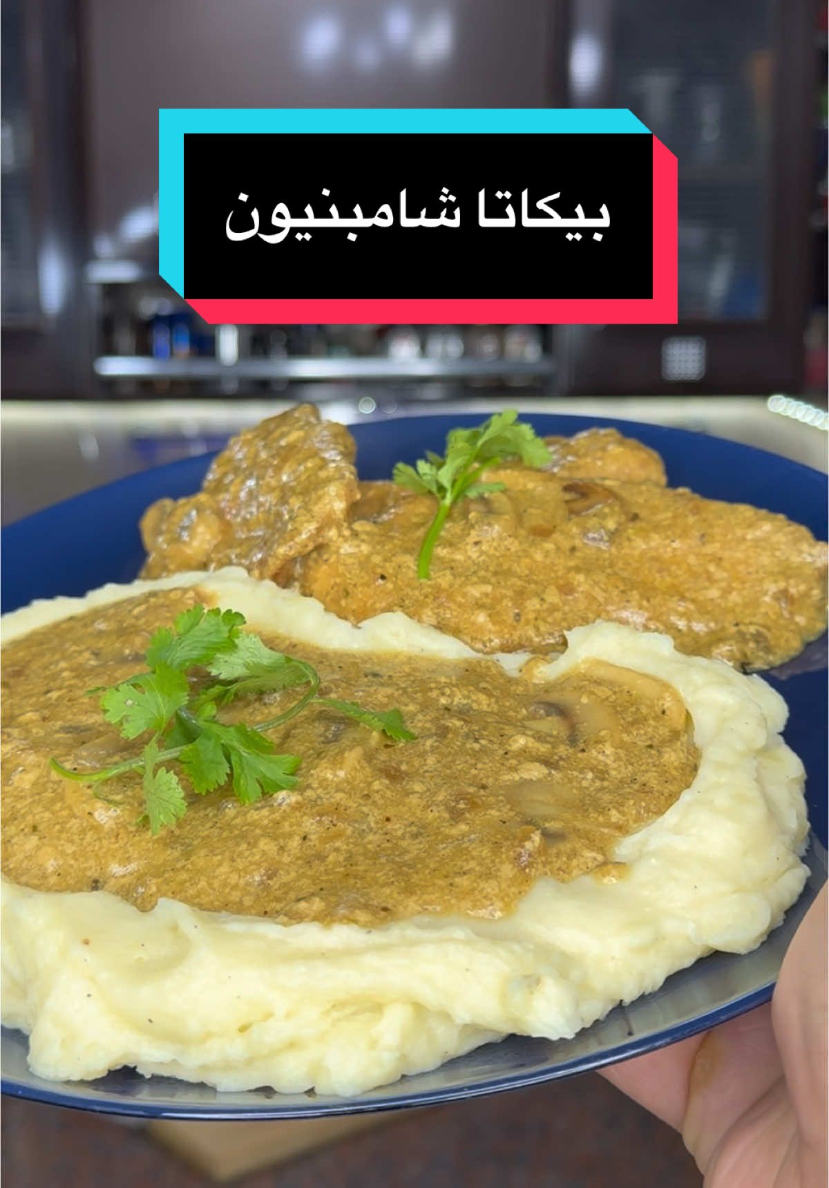 بيكاتا بالشامبليون وقدر الله ماشاء فعل ..