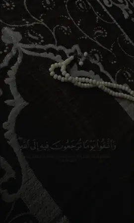 أجمل 14 ثانية رح تسمعها ❤️‍🩹🎧  #قرآن_كريم #قران #حسابات_دينية #calm #سكينة #طمأنينه #راحة_نفسية 