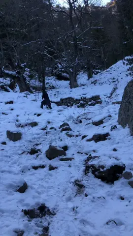 Ye Oooo ka Kia seen Hai 😜🏔️          #tirahvalley #foryoupage #explore #fun #mountains #viralvideo #snow #trending #viralvideo #shahab_afridi313 