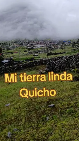 #viralvideos #corali#quicho 