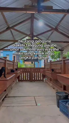 di nikmati ae.#peternakkambing #peternakmuda #petanimuda #pembisnismuda #peternaksapiindonesia #peternakikan #peternakayam #kambingetawa #kambing #tiktok #viral #viral #xybca #fypシ 