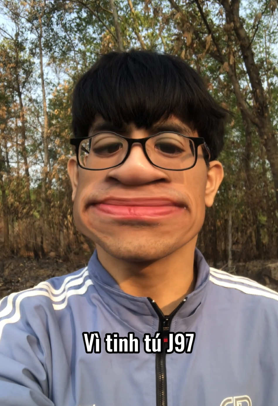 Hai con bò #haihuoc #haihuocvuinhon #giaitri #tiktokgiaitri #dcgr #chucongtam 