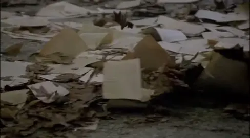 ضاعت اوراقي على وجه المكان .
ِ #محمد_عمر #اكسبلور #fyp #foryou 