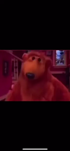 #bear #sniffing #meme #viralvideo #viraltiktok 