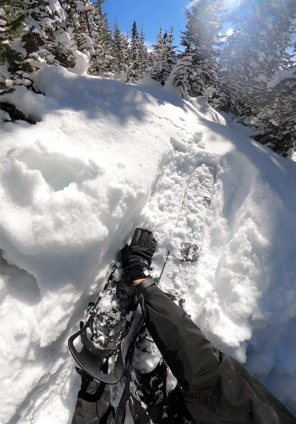 Tree Well or Deep Snow? 🌲 #snowboarding #snowboardinglife #skiiing #skiinglife #skiseason #snowstorm #powder #co #colorado #gopro #backcountryskiing #backcountrysnowboarding 