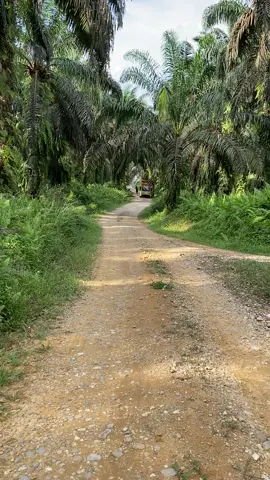 #fouryoupage #supirtruck #fypシ゚viral #fypsounds #fyppppppppppp @𝕱𝖗𝖊𝖓𝖌𝖐𝖎𝕯𝖆𝖗𝖎𝖆𝖓𝖙𝖔 @AJT_Business🌴 @yogarinaldi98 