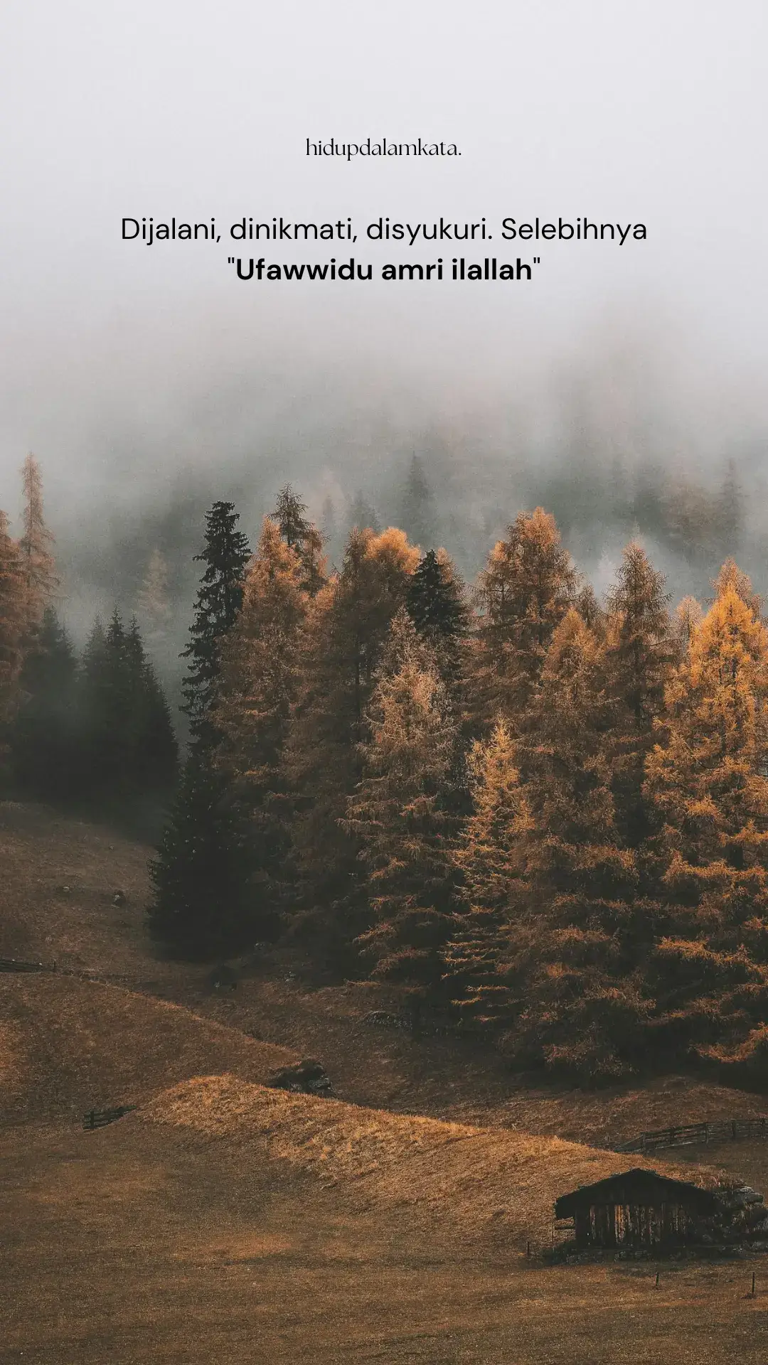 Dijalani saja dengan penuh ikhtiar dan doa. Selebihnya serahin ke Allah 😇😇 #fypviralシ #selfreminder #lewatberanda #moots? #4u #4upage 