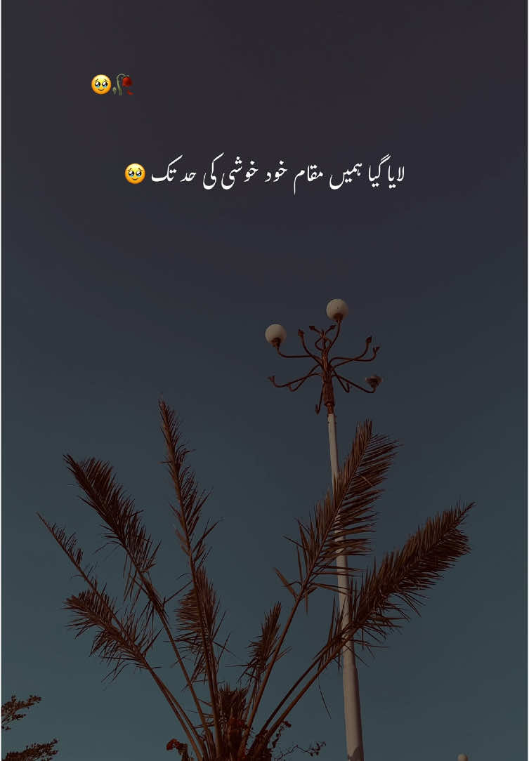 لایا گیا ہمیں خود خوشی کی حد تک 🥹❤️‍🩹#asethetic #poetry #poetrystatus #grow #account #foryour #foryoupage #1million #shazzy01 