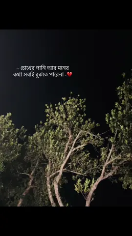 Aita bujhar khomota sobar nai😅#sad #depresion #priomanush #pain #ferateparini 