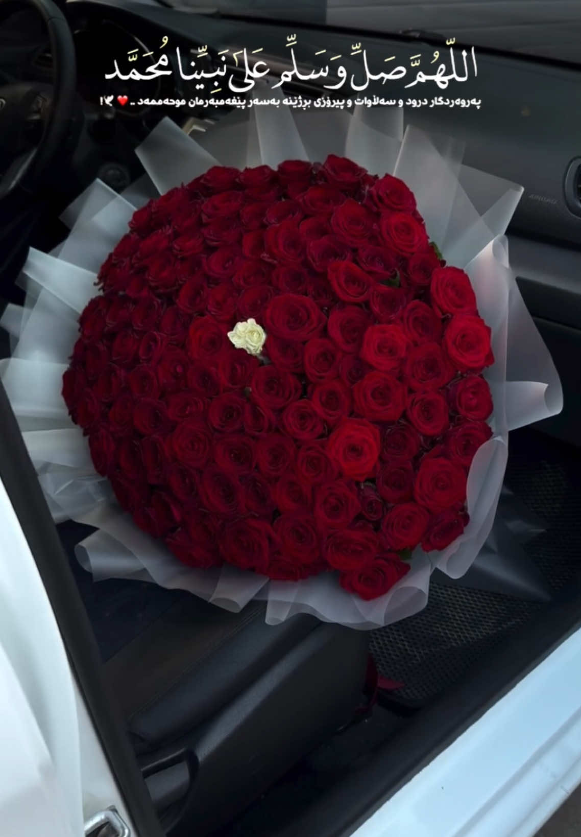 سەڵاوات لە بیرمەکەن بۆ خۆشەویستمان🥀🐚#run4ky #اللهم_صل_وسلم_على_نبينا_محمد 