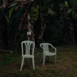 Café Con Ron - Bad Bunny  . . . #badbunny #dtmf 