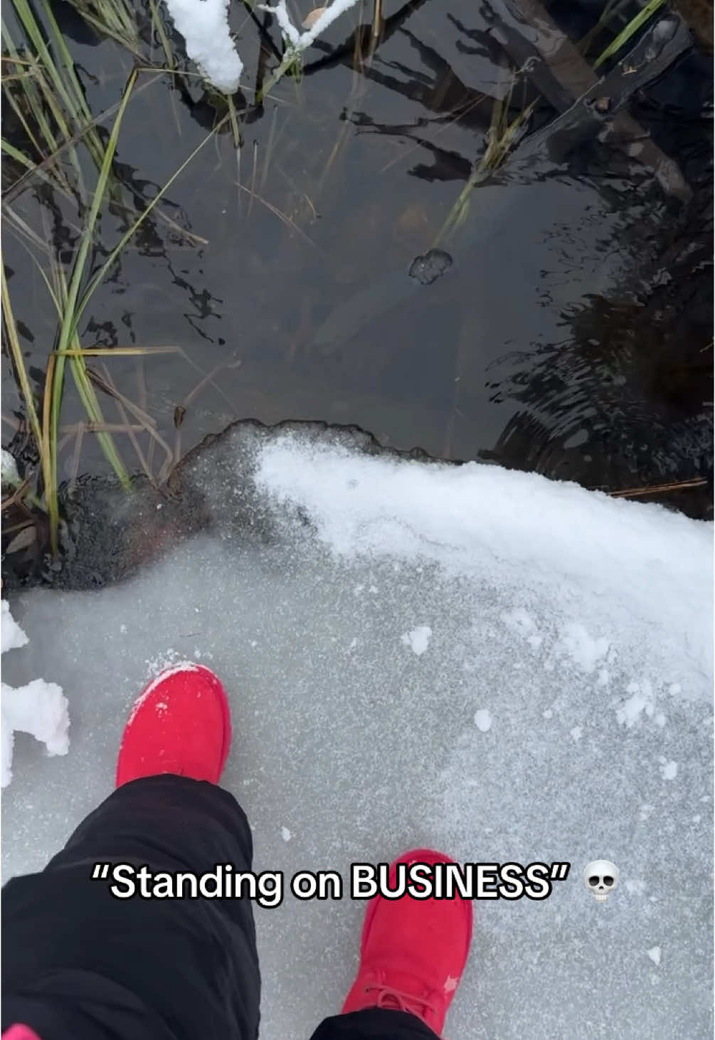 Nooooo. 🤣 (@RoeBabyy) #funny #snow #winter #cold #fail 