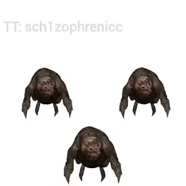 Швіні #stalker #сталкер #мем 