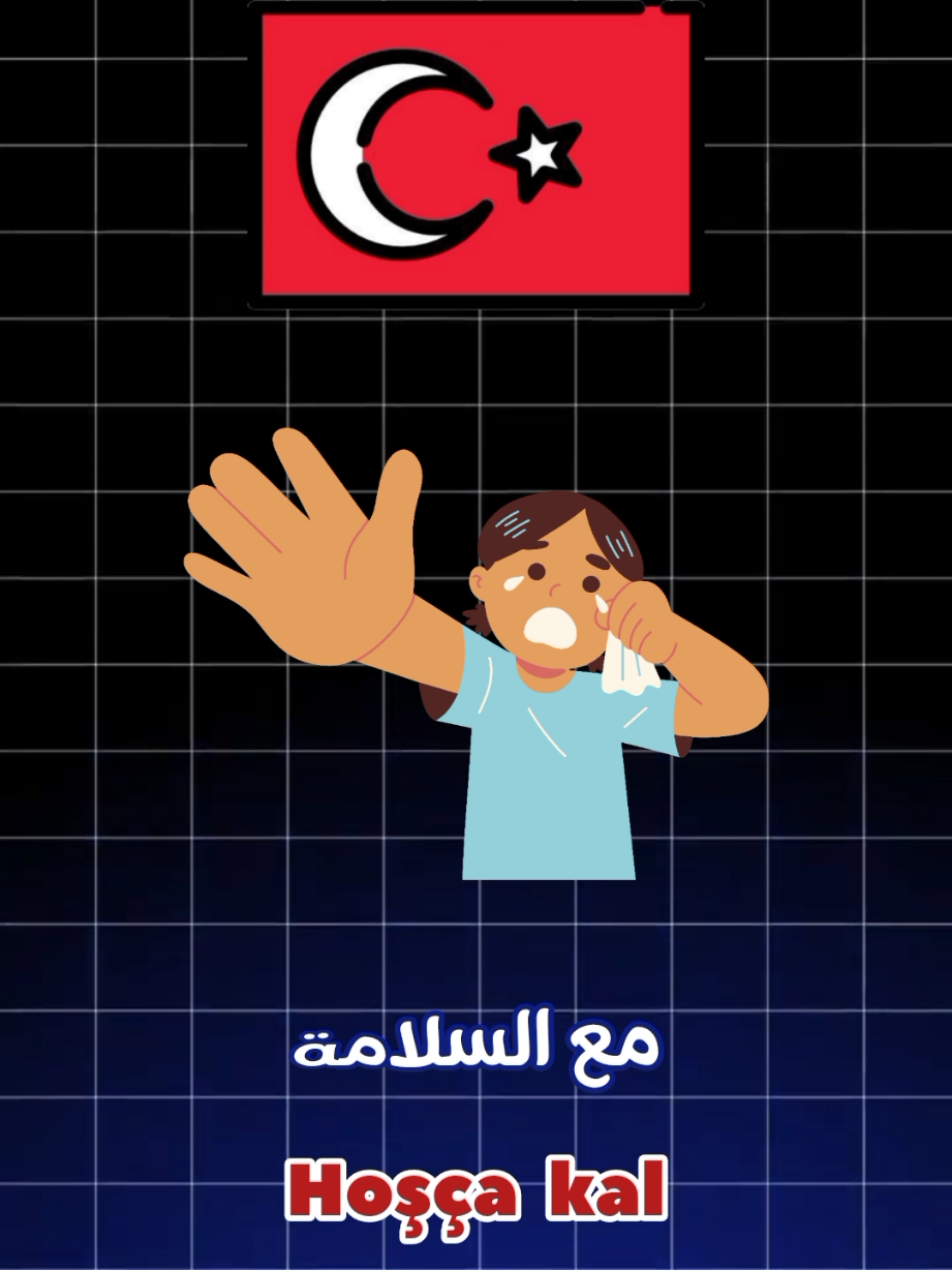 الجمل الأساسية في اللغة التركية 🇹🇷#ادلب #learn #arapça #turkish #تعلم #اللغة_التركية #تعلم_اللغة_التركية #سوريا 
