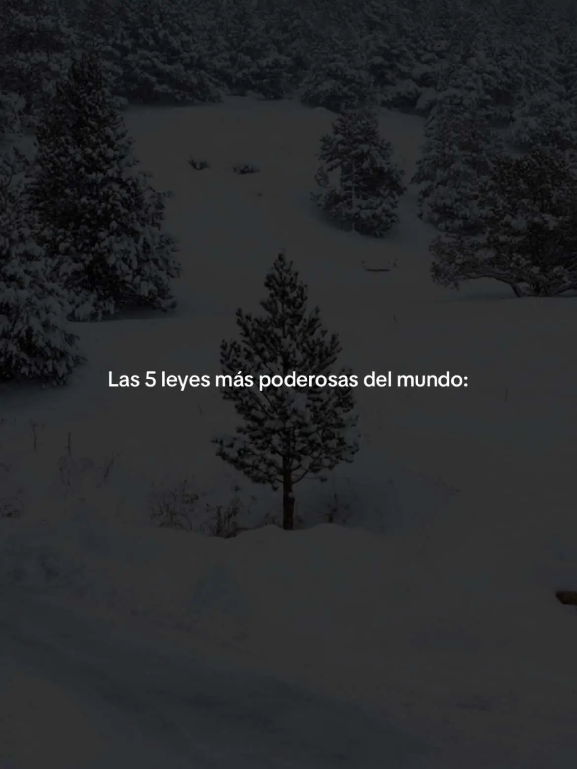 #exito #motivacion #desarrollopersonal #emprendedor #disciplina 
