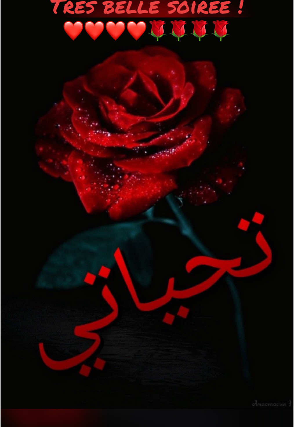 #amour bonheur❤️❤️🌹🌹